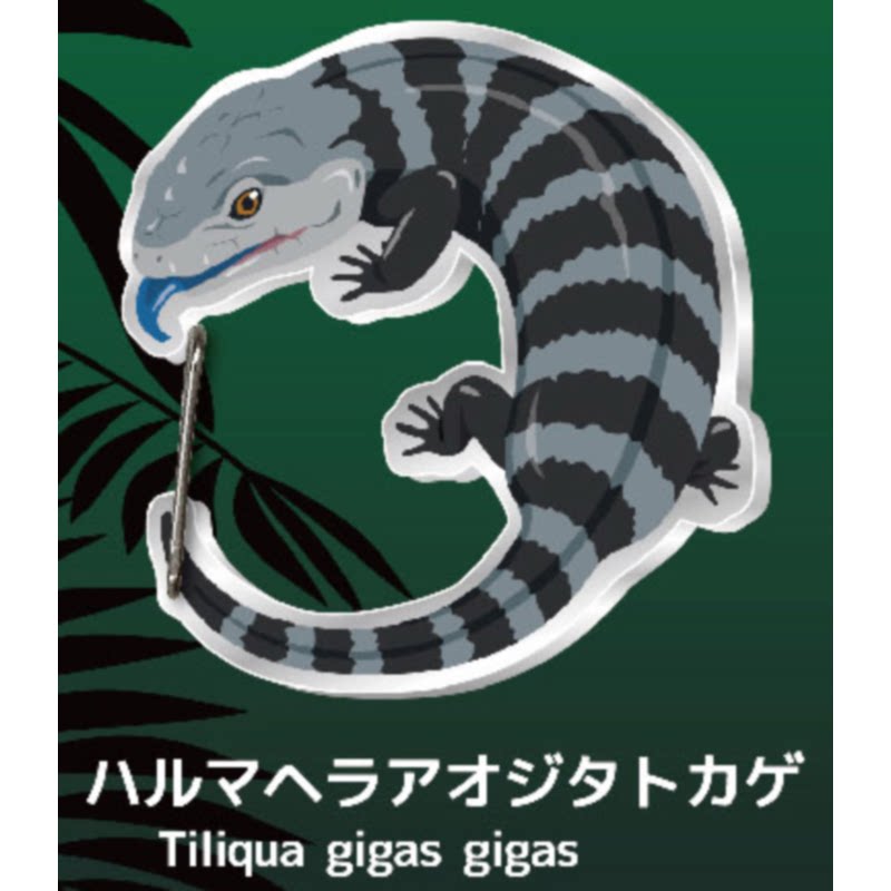 Lizard Gecko Carabiner Keychai – Capsule Toy Gashapon recenzja i cena