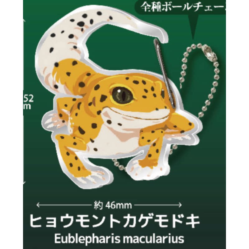 Lizard Gecko Carabiner Keychai – Capsule Toy Gashapon recenzja i cena